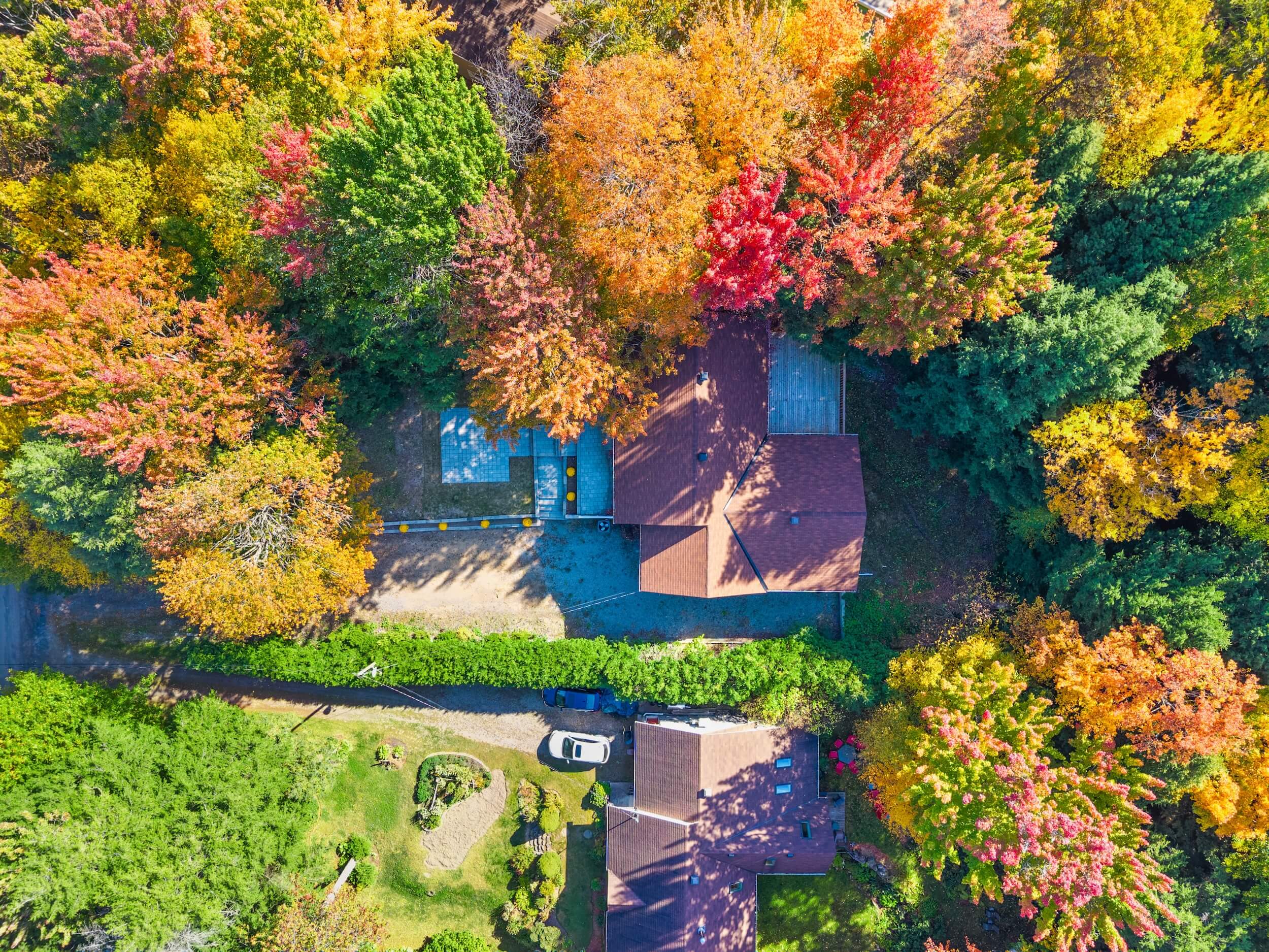 2 2 3162 Pine Tree, St-Lazare